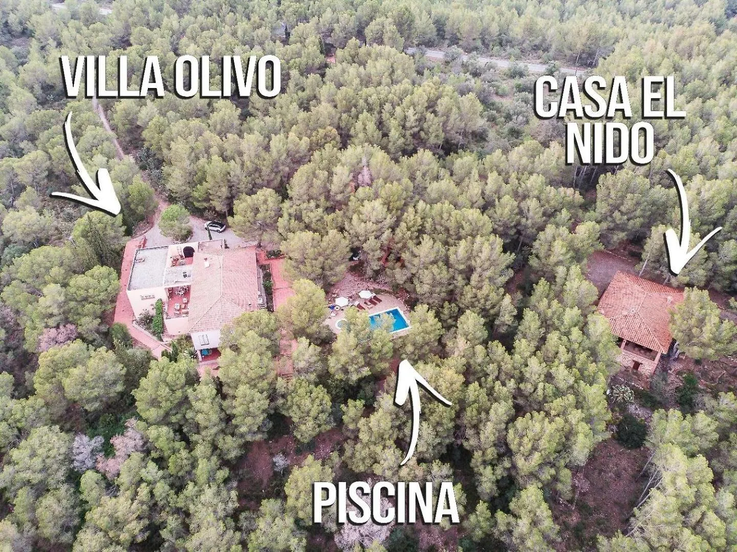 Aldeamia, Forest, Mountain View, Beach At 8 Min Vilanova de Escornalbou Bed & Breakfast